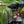 Cargar imagen en el visor de la galería, Curso de Parrilla - Regular
